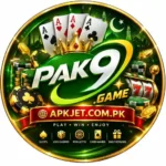 pak9-game-logo-27kb