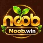 noob-win-logo-27kb-2
